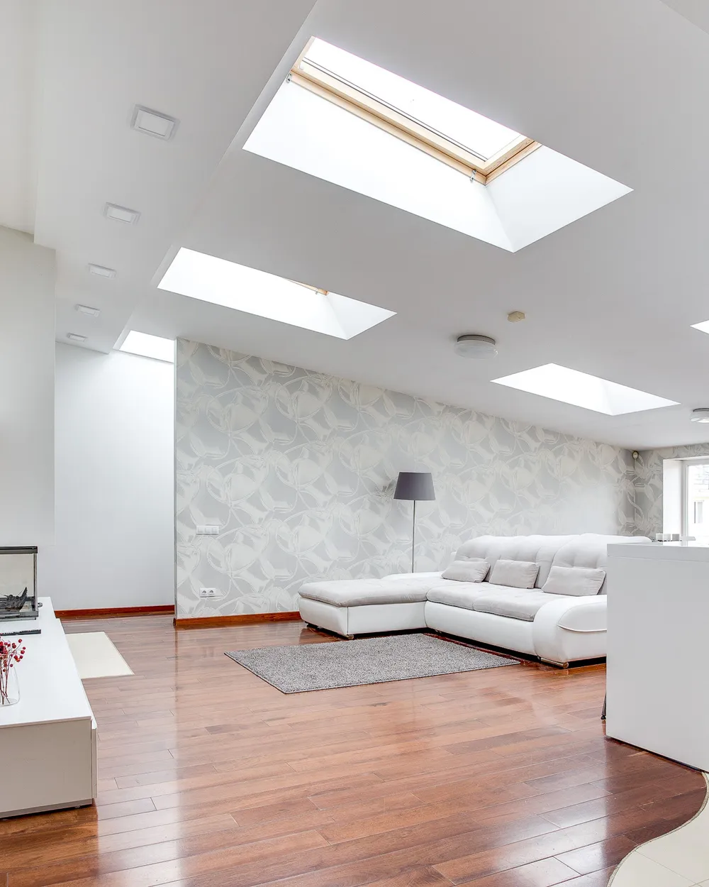 Illustrative reference for Skylight installation
